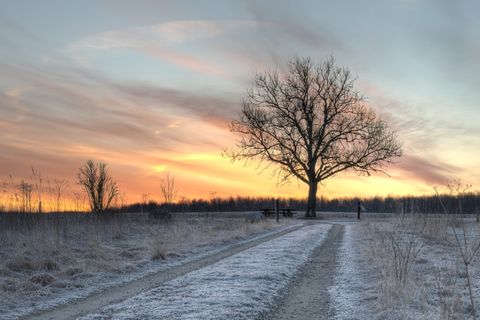 Redewendung: Morgenstund hat Gold im Mund