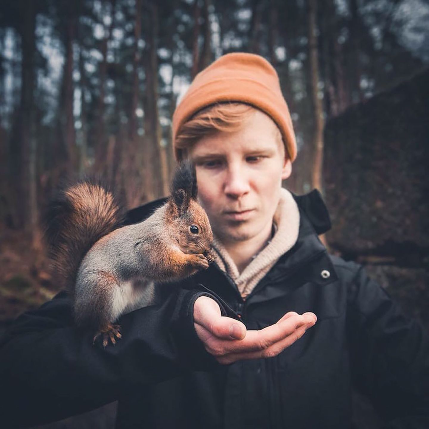 Eichhörnchen, Konsta Punkka