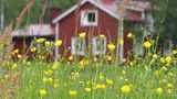 Holzhaus in Finnland