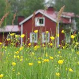 Holzhaus in Finnland