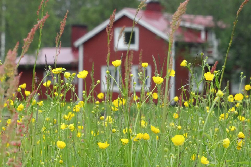 Holzhaus in Finnland