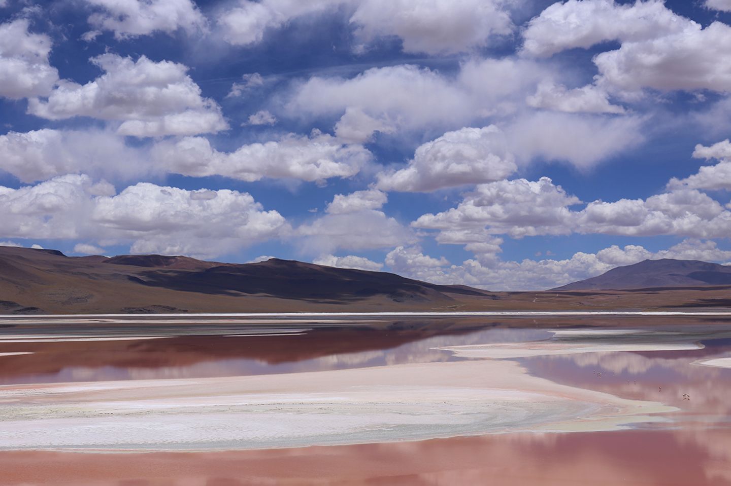 Laguna Colorada, Bolivien Laguna Colorada, Bolivien