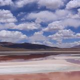 Laguna Colorada, Bolivien