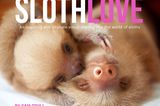 Cover, Slothlove