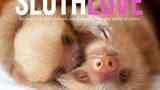 Cover, Slothlove