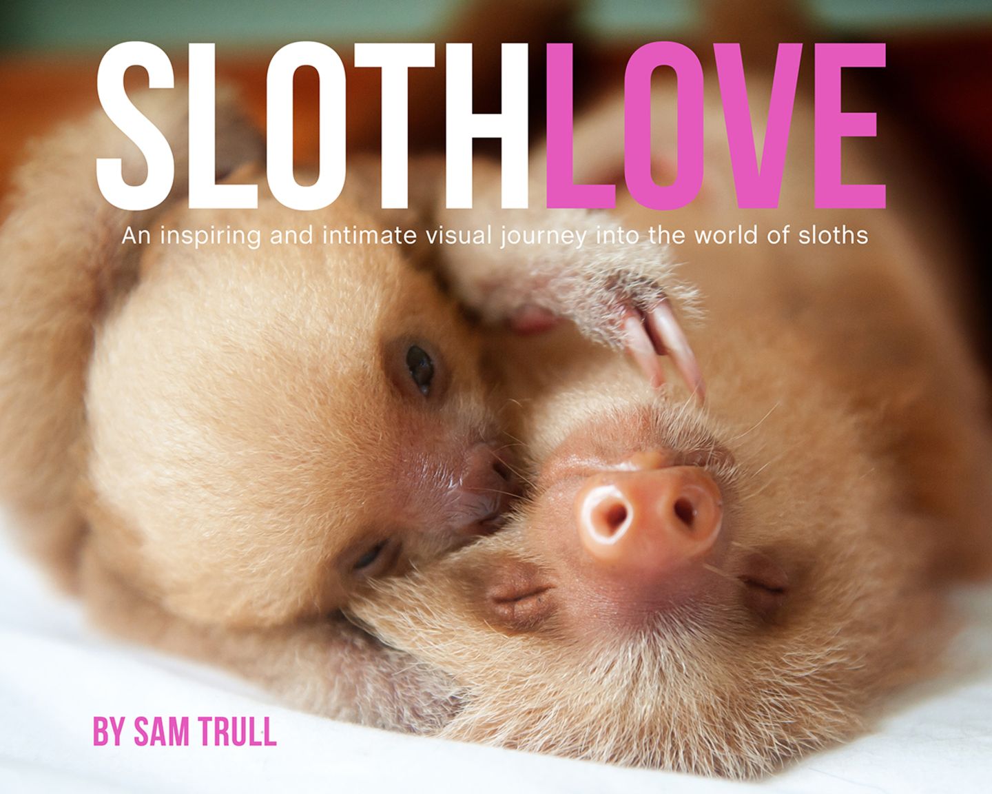 Cover, Slothlove