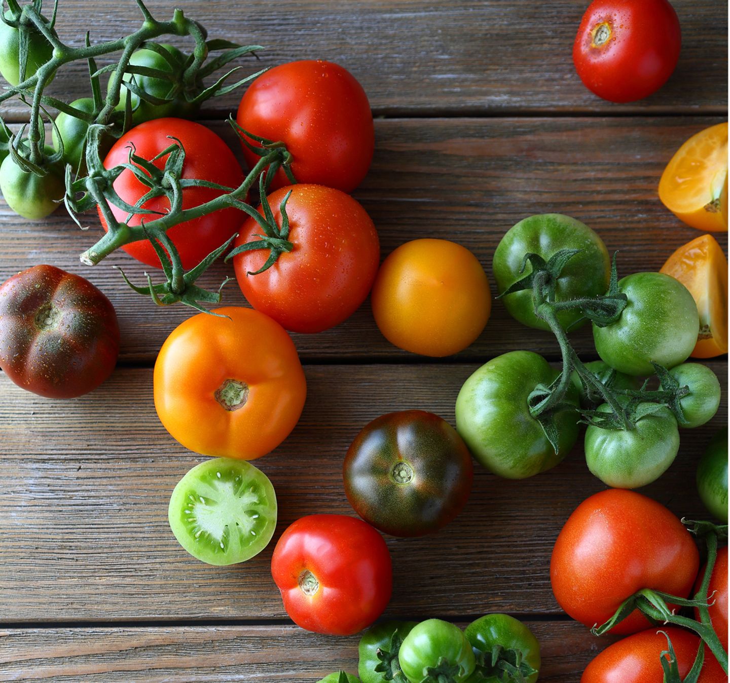 Tomaten