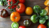Tomaten