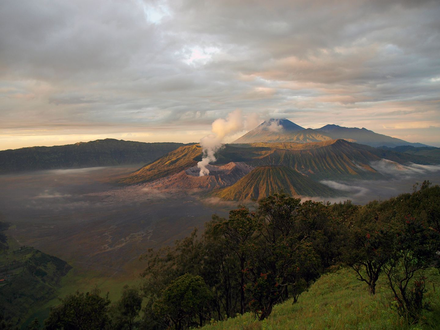 Bromo Tengger Semeru Nationalpark, Java Bromo Tengger Semeru Nationalpark, Java