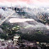 Central Park, New york