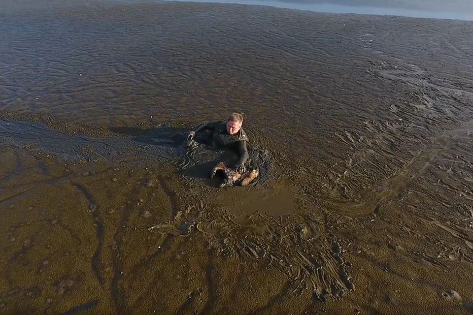 Usedom: Dieser Fotograf riskiert viel, um einen Adler zu retten