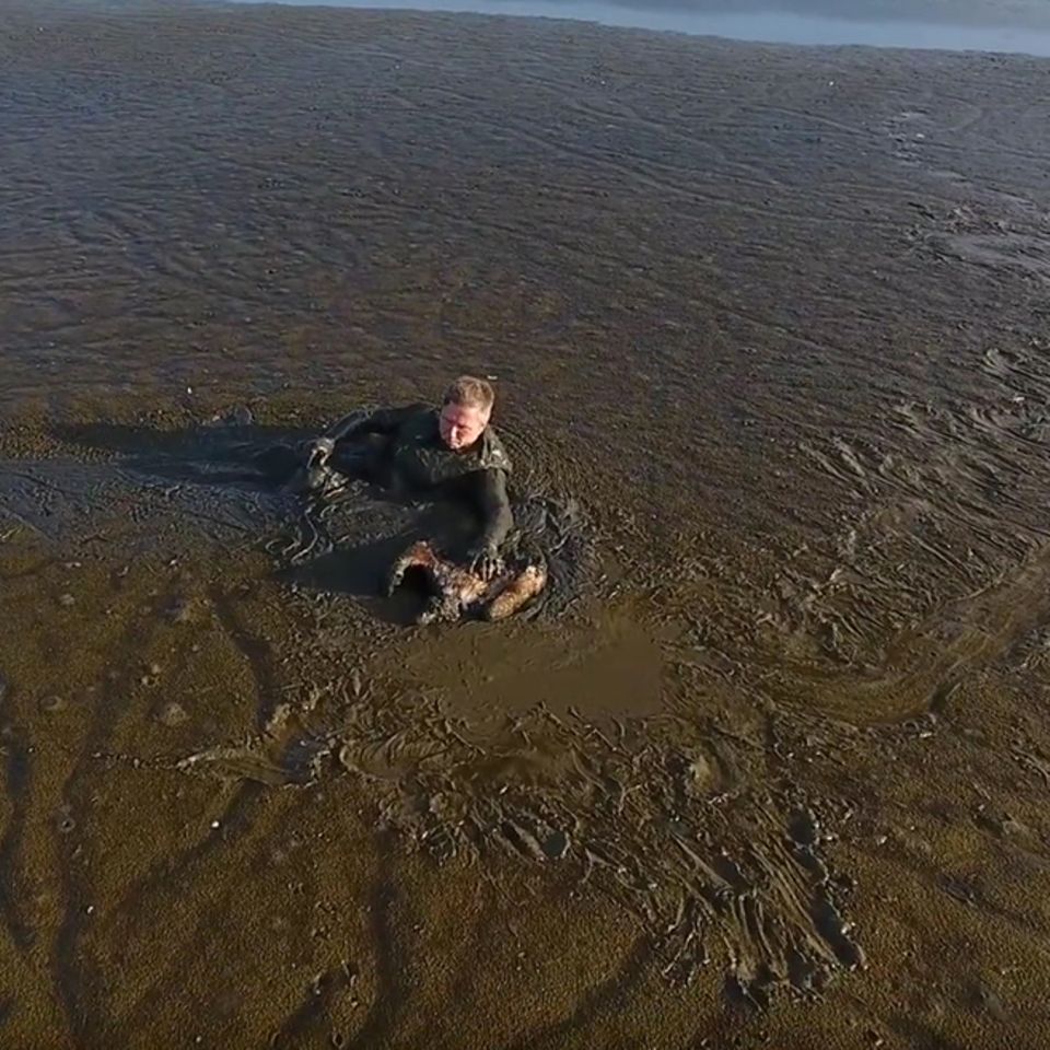 Usedom: Dieser Fotograf riskiert viel, um einen Adler zu retten