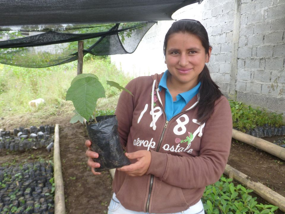 Ecuador: Stolz präsentiert Talía einen ihrer Guarumbo-Setzlinge in der Baumschule Cuellaje
