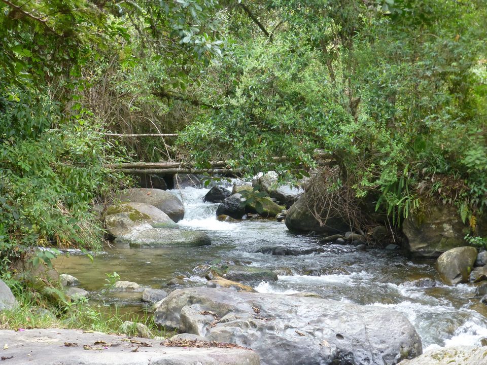Die vielen Wasserläufe sind neben dem Bergnebelwald der größte Reichtum der Intag-Region