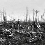 Preußen: Bildstrecke: Preußen im Ersten Weltkrieg