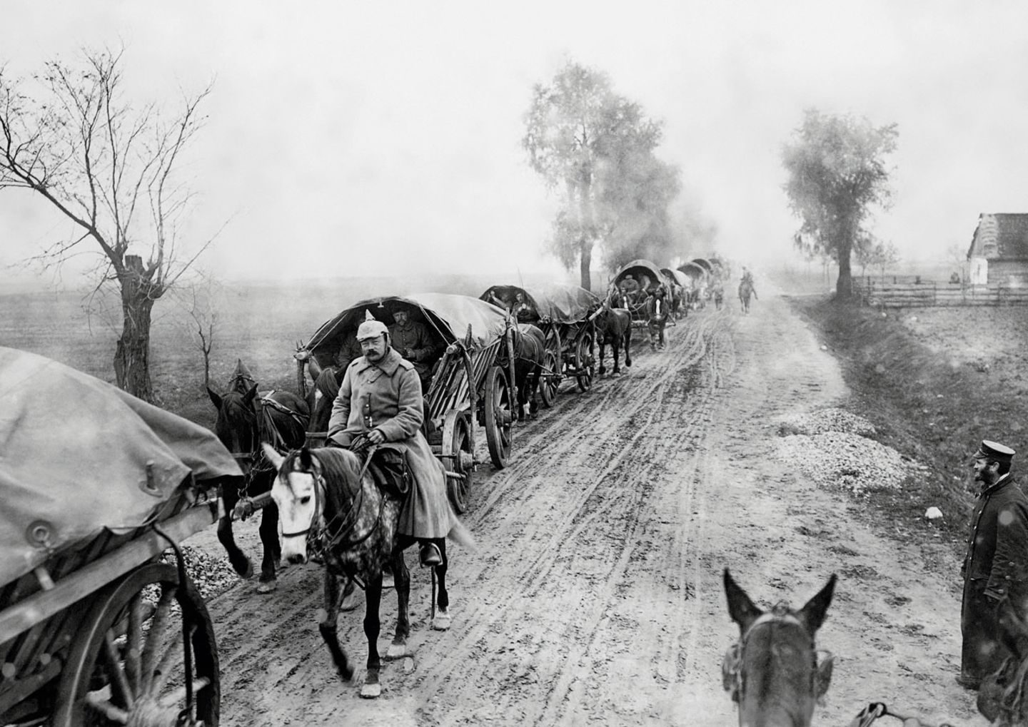 Preußen: Bildstrecke: Preußen im Ersten Weltkrieg - Bild 3