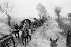 Preußen: Bildstrecke: Preußen im Ersten Weltkrieg - Bild 3
