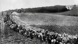 Preußen: Bildstrecke: Preußen im Ersten Weltkrieg - Bild 5