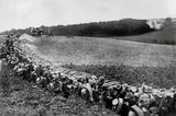 Preußen: Bildstrecke: Preußen im Ersten Weltkrieg - Bild 5