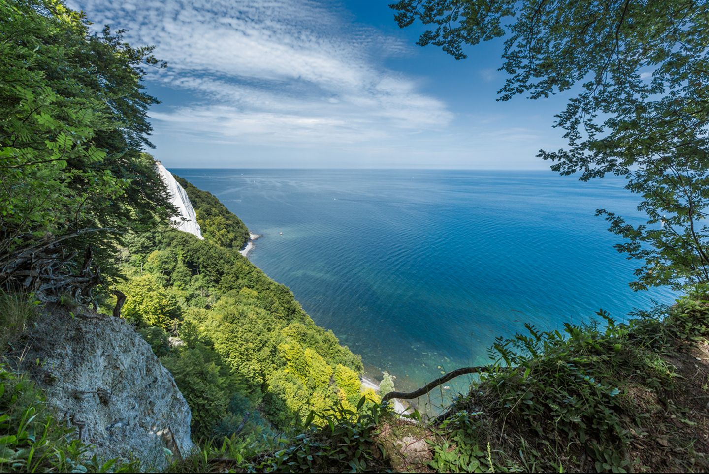 Kreidefelsen Rügen