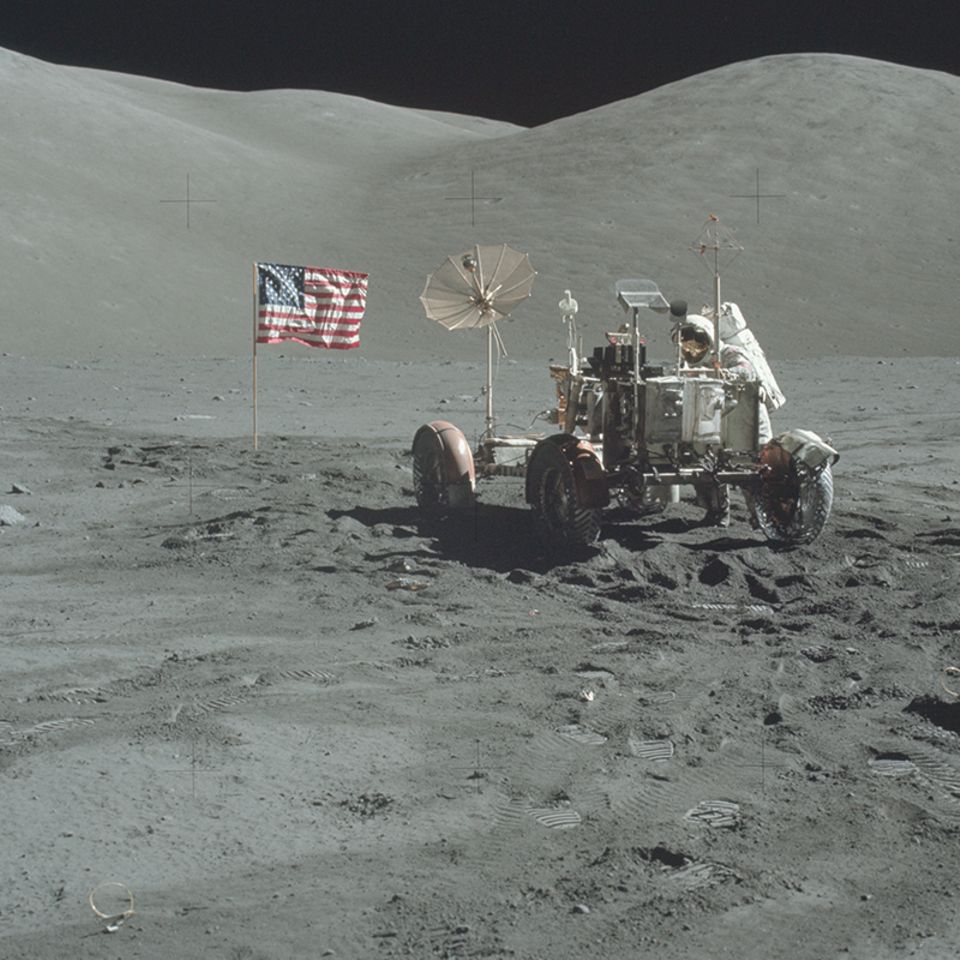 Skurriles Experiment: "Mondbäume" gesucht: NASA bittet um Mithilfe