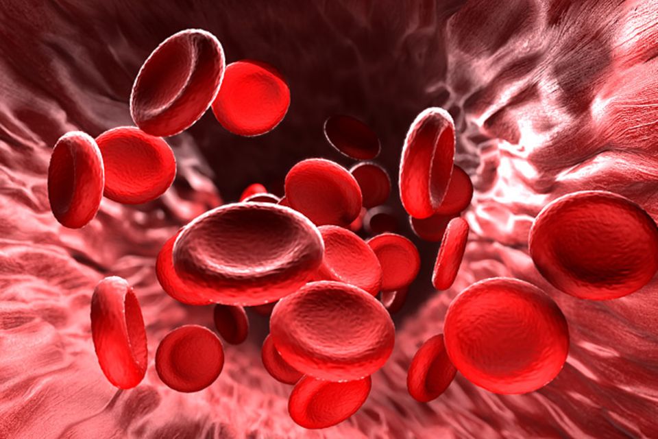 Medizin: Das ist die seltenste Blutgruppe, die bislang bekannt ist