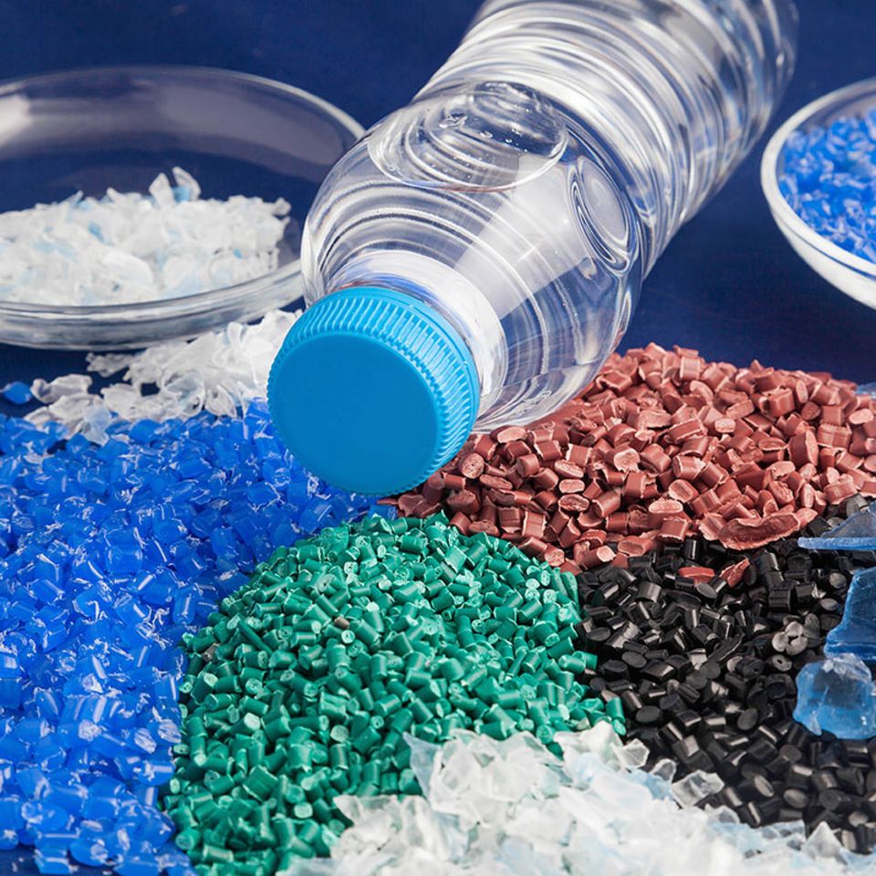 Junk-Food: Diese Raupe ernährt sich von Plastik