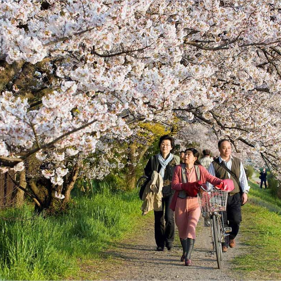 Japan: So entspannt kann Tokio sein