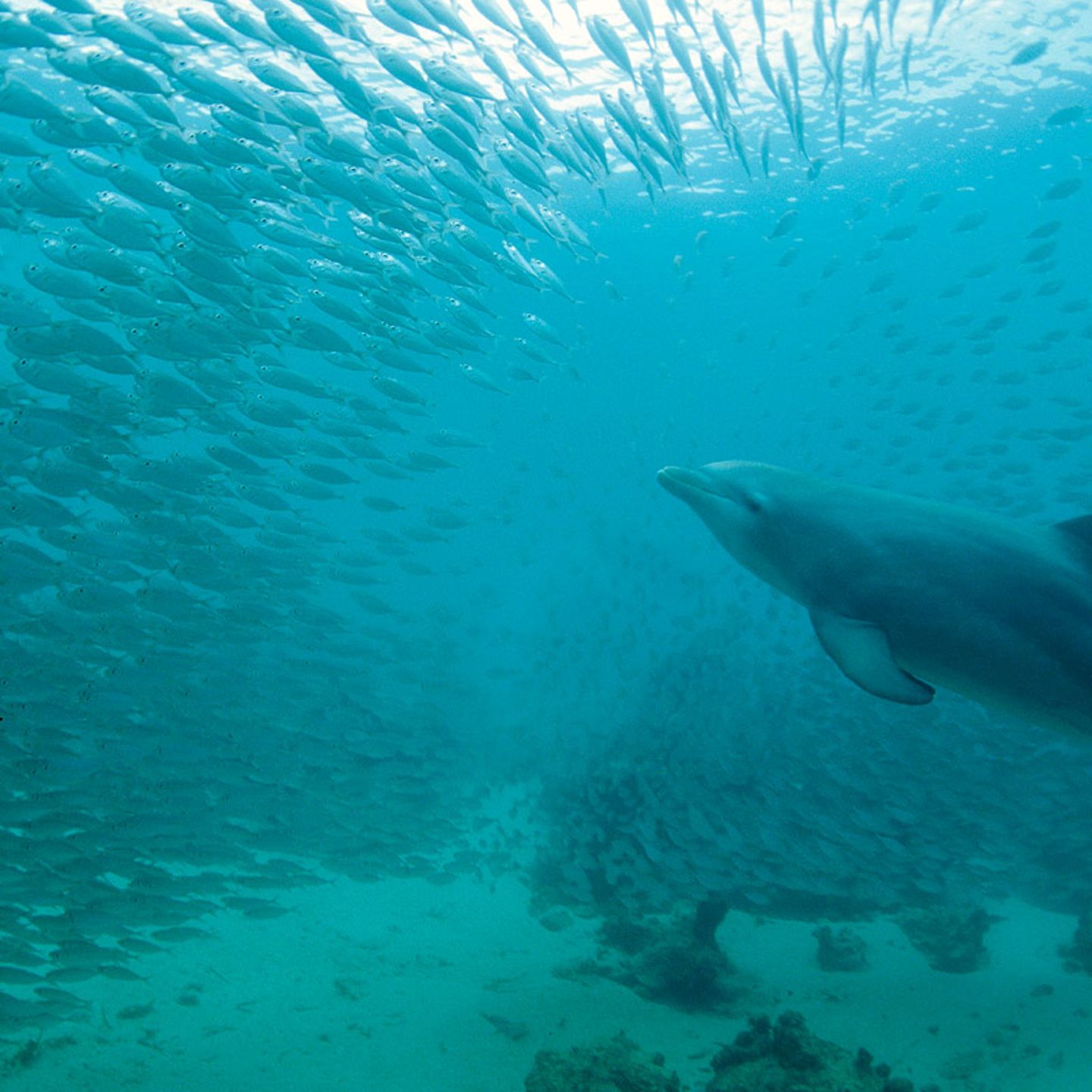 Testen Sie Ihr Wissen im Quiz