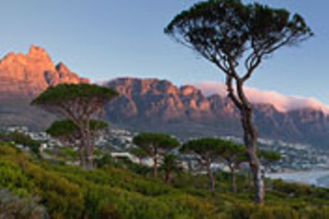 Südafrika: Safari mit Kindern