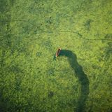 Bangladesch verzaubert aus der Luft