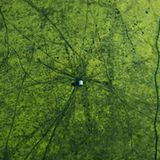 Bangladesch verzaubert aus der Luft