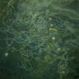 Bangladesch verzaubert aus der Luft