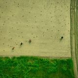 Bangladesch verzaubert aus der Luft