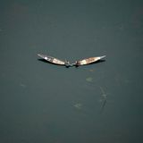 Bangladesch verzaubert aus der Luft