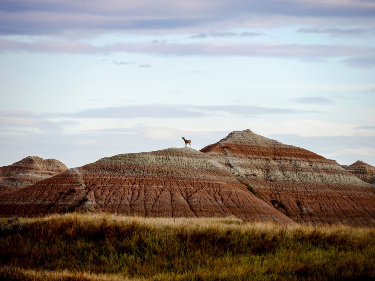 Badlands National Park, USA
