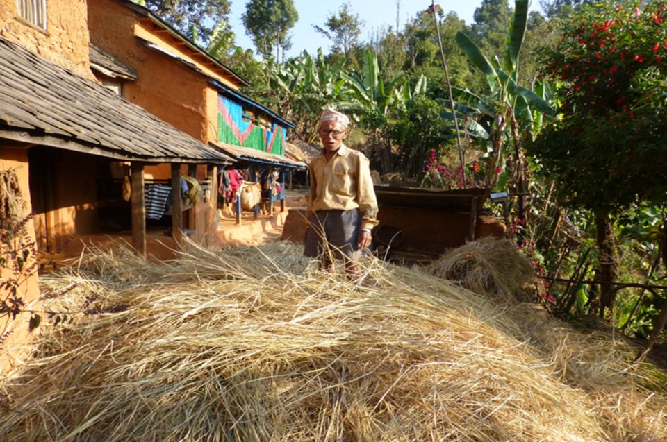Nach der Reisernte hat dieser Bauer in der Siedlung Basaha das Stroh zu seinem Haus transportiert - für die Tiere