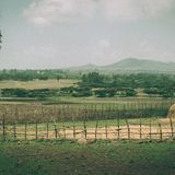 Clueso in Äthiopien