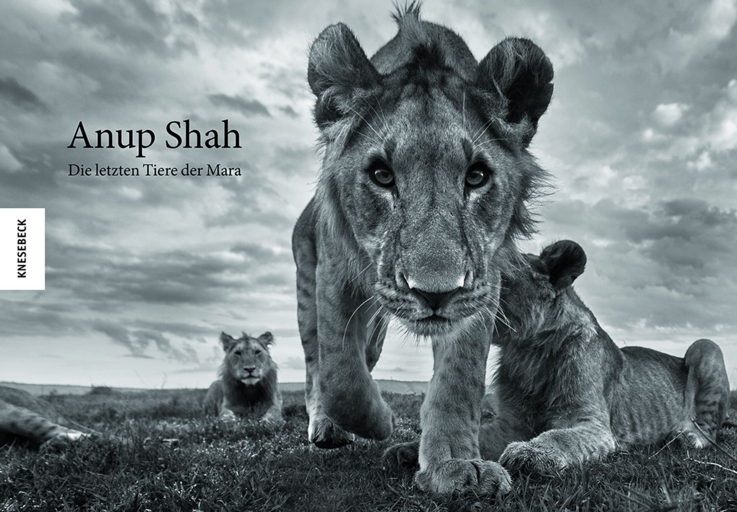 Anup Shah, Die letzten Tiere der Mara
