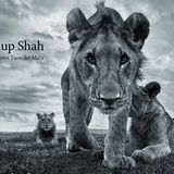 Anup Shah, Die letzten Tiere der Mara