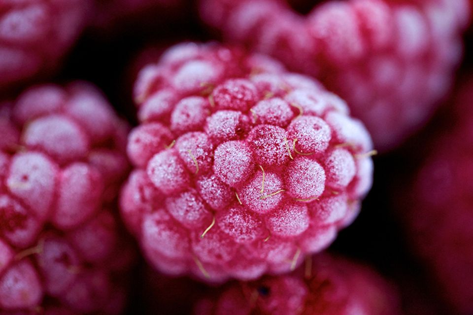Schiebepuzzle: Himbeeren