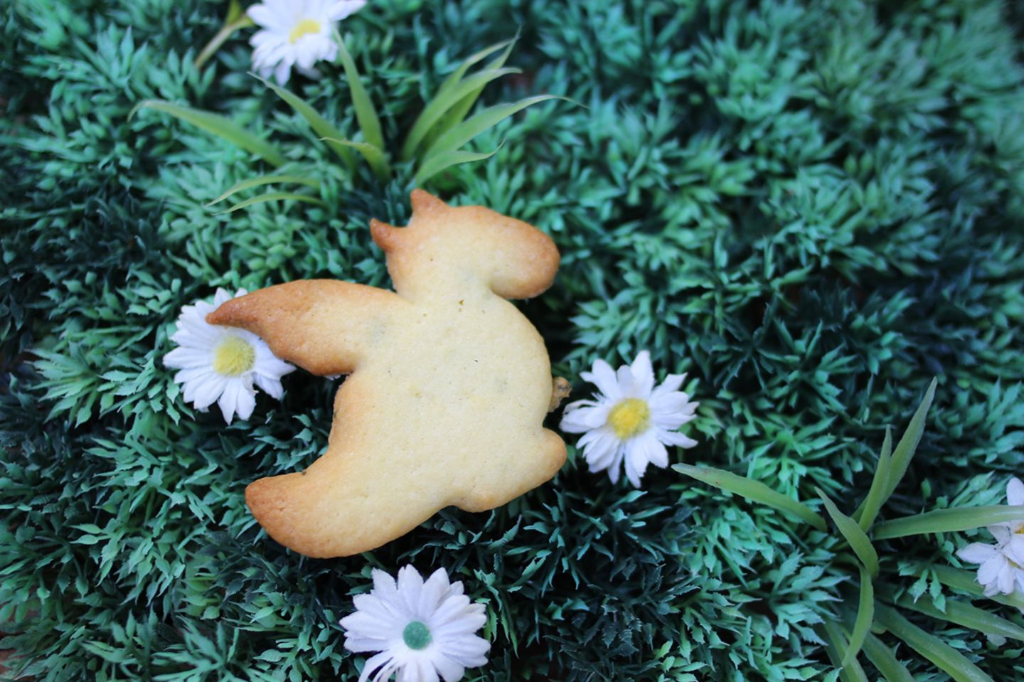 Rezept: Backt euch magische Drachenkekse!