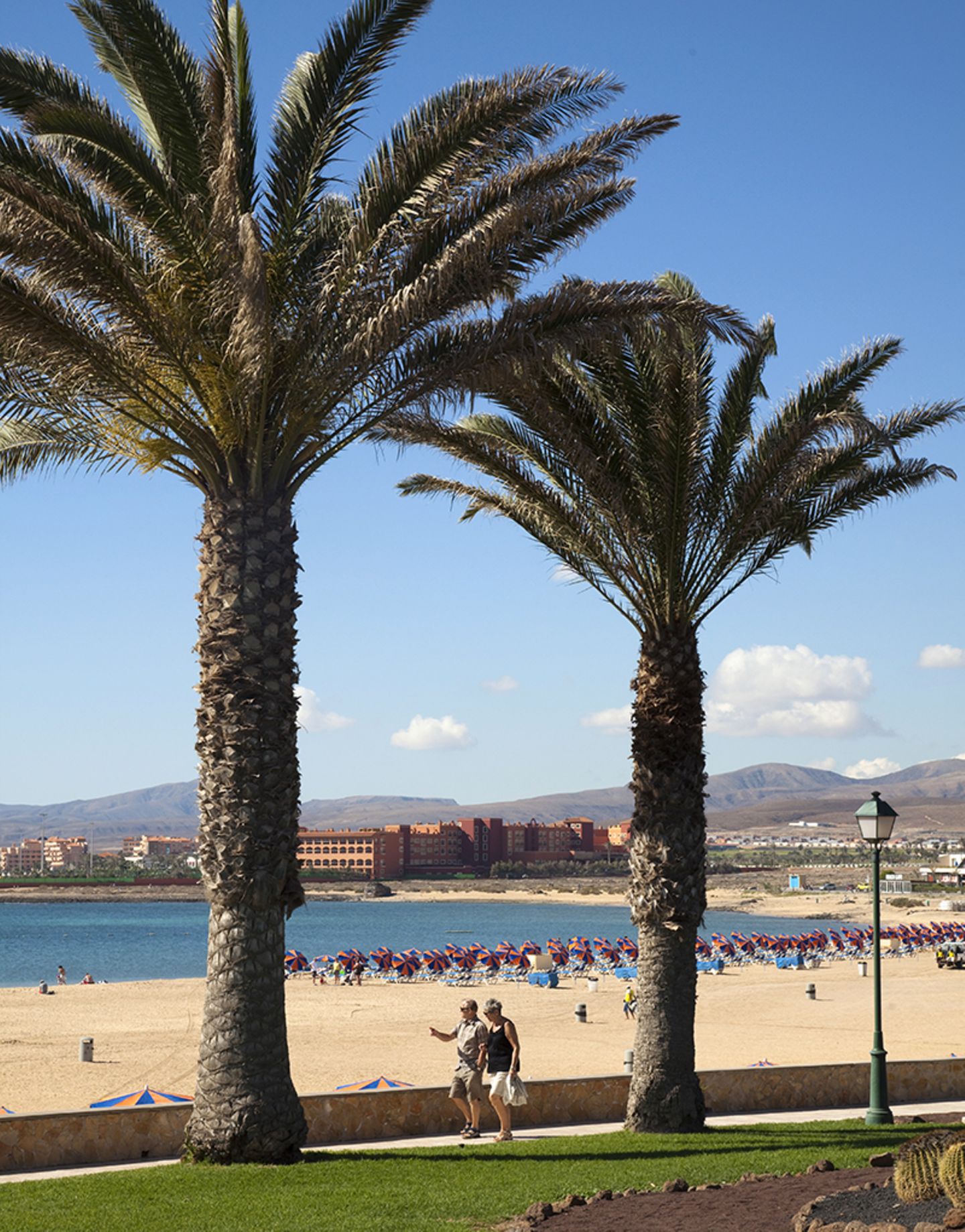 Costa Caletta, Fuerteventura Kanarische Inseln, Spanien