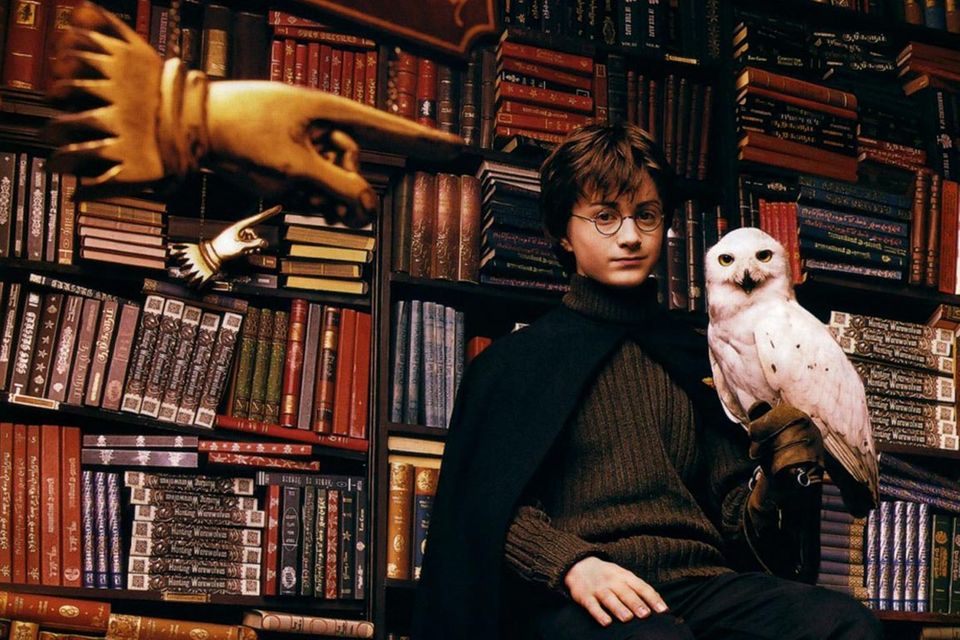 Harry Potter mit seiner Eule Hedwig
