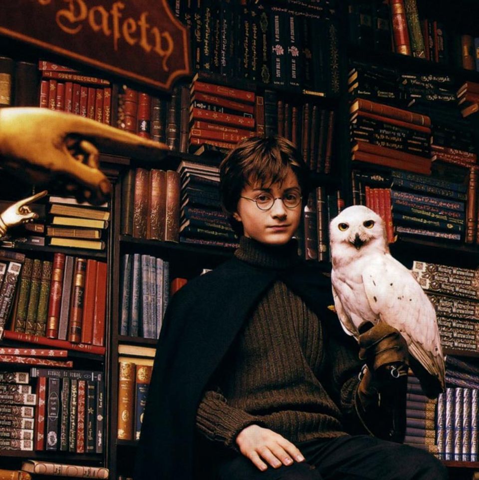 Harry Potter mit seiner Eule Hedwig
