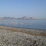 Crucicchia Beach, Italien