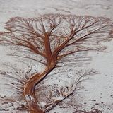 Salar de Uyuni, Bolivisches Hochplateau