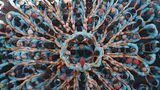 Castellers in Vilafranca del Penedès, Katalonien, Spanien