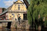 Wasserwanderung auf der Ilmenau bei Lüneburg