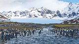 St. Andrews Bay, South Georgia